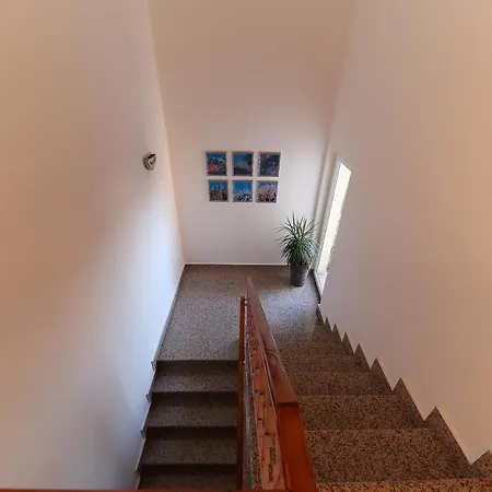 Apartment Branka *