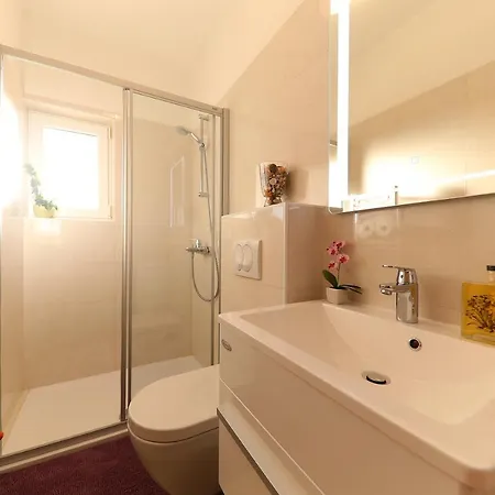Apartment Branka