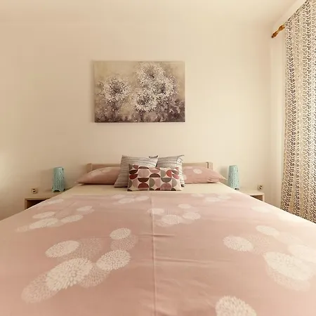 Apartment Branka Murter